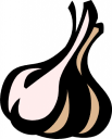 Garlic Clipart