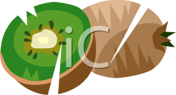 Kiwi Clipart