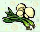 Onion Clipart