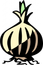 Onion Clipart