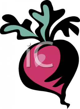 Royalty Free Radish Clipart