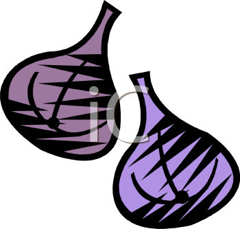 Onion Clipart