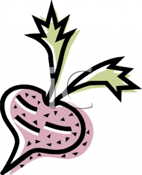 Radish Clipart