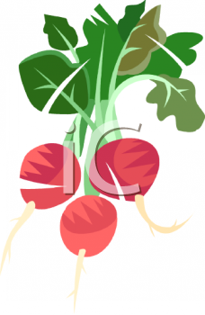 Vegetables Clipart