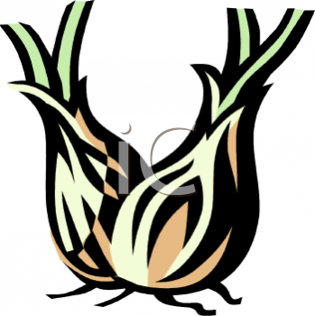 Onion Clipart