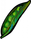 Peas Clipart