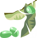 Peas Clipart