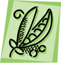 Vegetables Clipart