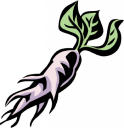 Vegetables Clipart