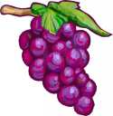 Grape Clipart