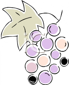 Grape Clipart