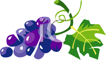 Grape Clipart