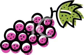 Grape Clipart