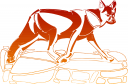 Fox Clipart