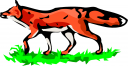 Fox Clipart