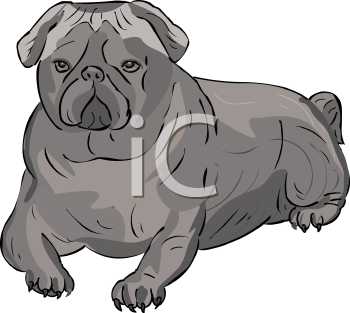 Dog Clipart