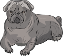 Dog Clipart