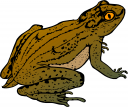 Frog Clipart