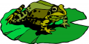 Frog Clipart