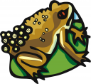 Frog Clipart