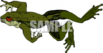 Frog Clipart