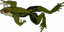 Frog Clipart