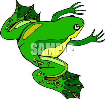 Frog Clipart