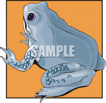 Frog Clipart