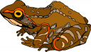 Frog Clipart