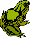 Frog Clipart