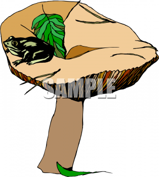 Frog Clipart