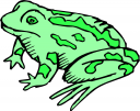 Frog Clipart