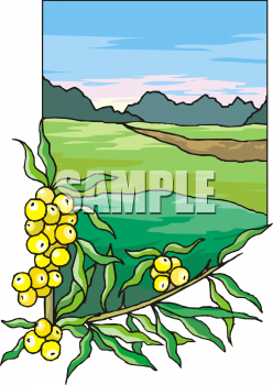 Produce Clipart