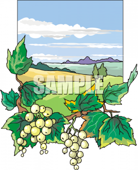 Produce Clipart