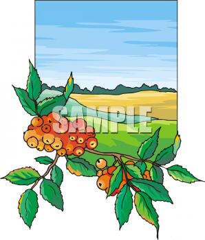 Produce Clipart