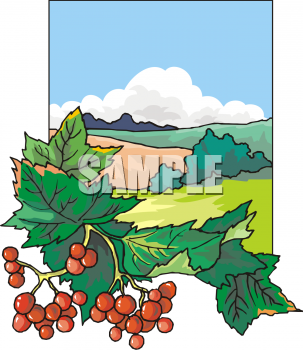 Produce Clipart