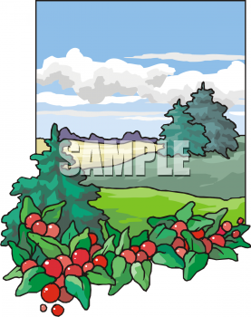 Produce Clipart