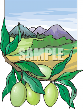 Produce Clipart