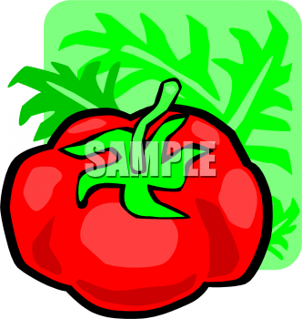 Tomato Clipart