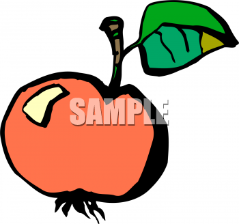 Apple Clipart