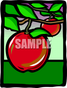 Apple Clipart