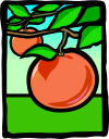 Orange Clipart