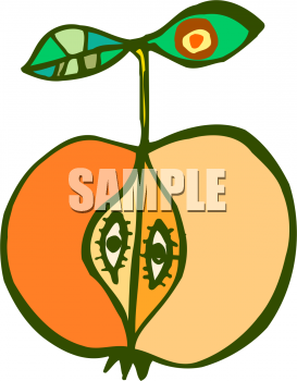 Orange Clipart