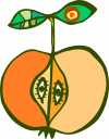 Orange Clipart