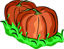 Pumpkin Clipart