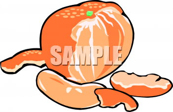 Melon Clipart