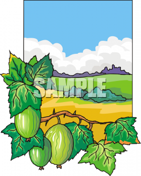 Produce Clipart