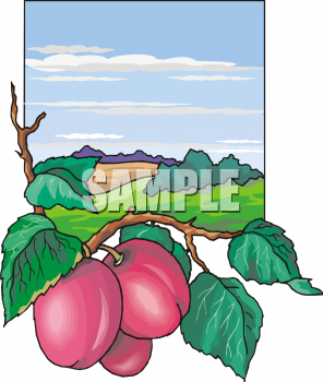 Produce Clipart