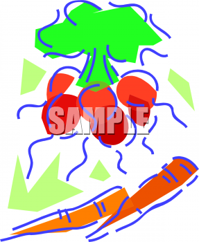 Carrot Clipart