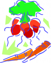 Carrot Clipart